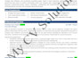 provide professional resume writing service, CV, cover letter, linkedin